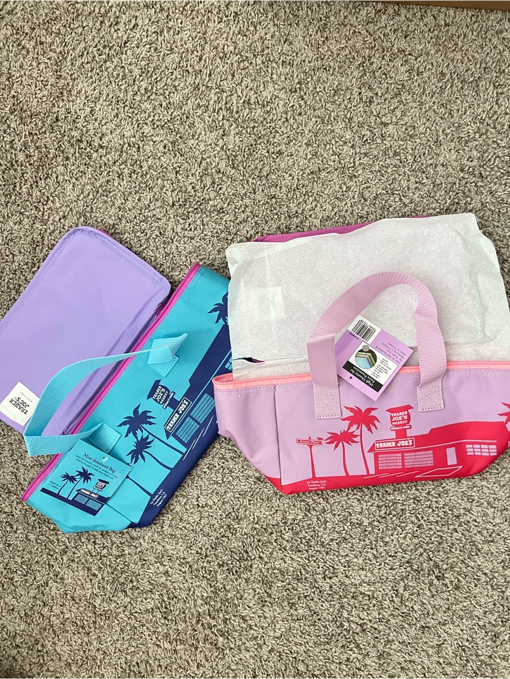 Trader joes insulated mini bag